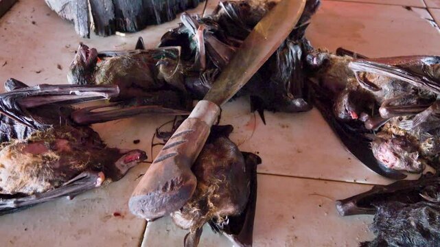 Wet Asian markets.Food tastes disgusting to European. But it's poor country, eat everything , including rare animal species. Providing population with normal food global problem. Bats and rousettes.