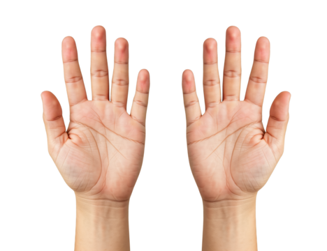 Hand sign you need to express yourself without using word