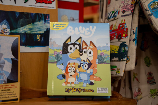 View of Bluey cartoon book in bookstore. Guelph, Canada - January 2, 2025.