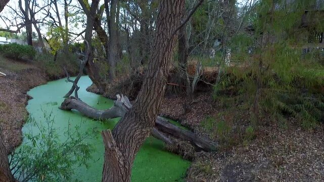 Toma desde abajo hacia arriba de un rio con moho verde en el campo oto&ntilde;al