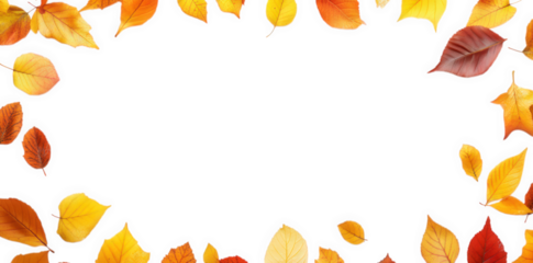 collection of autumn leaves arranged around the edges of a blank white space. creating a natural frame the vibrant colors of the leaves?ranging from yellow to orange and red?evoke the essence of fall.