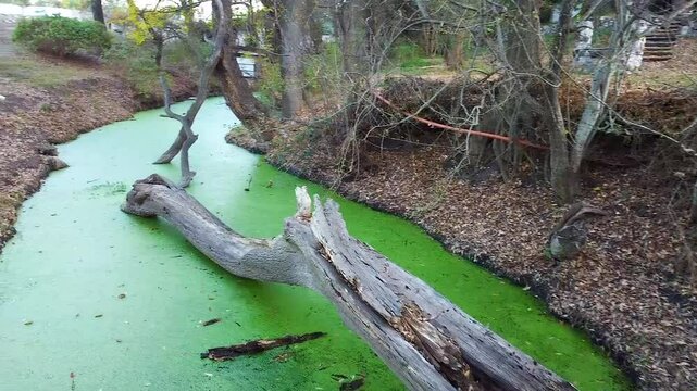Toma entre un lago con moho verde en un campo oto&ntilde;al
