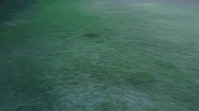 Toma aerea de un cesped verde