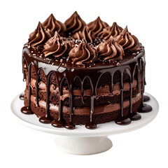 chocolate cake isolated on transparent png file