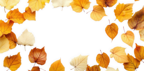 collection of autumn leaves in shades of orange. yellow. and white arranged around the edges of a blank white space. creating a seasonal and decorative frame this setup is ideal for invitations. seaso