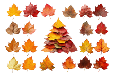 n artistic arrangement of various autumn leaves in vibrant shades of yellow. orange. and red. creatively arranged to form a triangular shape resembling a christmas tree the composition highlights the