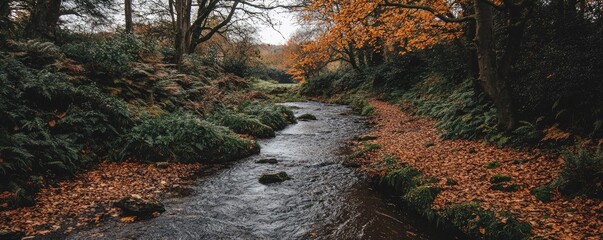 Autumn stream flows through forest, leaves fall. Nature scene