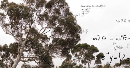 Image of layers of mathematical formulae and equations over trees and sky