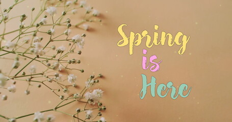 Fototapeta premium Image of spring is here text and stars over white flowers