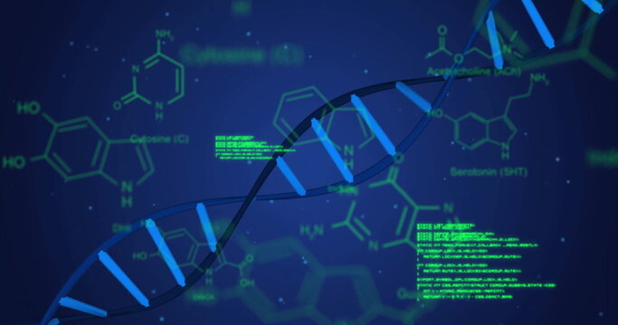 Image of data processing and chemical formula over dna strand