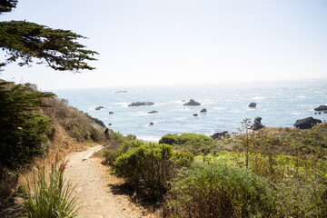 coast of the sea