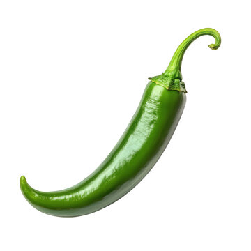 single green chili pepper. showcasing its elongated shape and glossy texture against a plain white background this vibrant vegetable is commonly used in various cuisines to add heat and flavor to dish