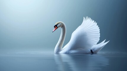 Elegant swan gliding gracefully on tranquil water