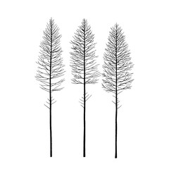 5 pine trees outlined with only one line modern minimalist style closeup of trees sharp edges empty
