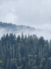 Clouds and Mist in the Hills in Ukraine