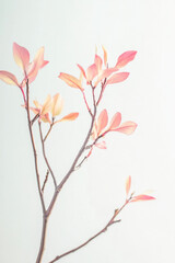 Fototapeta premium Delicate pastel-colored leaves on slender branches create a serene and minimalistic visual against a soft background.