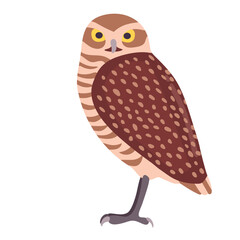 Burrowing owl icon clipart avatar logotype isolated illustration