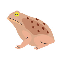 Cane toad icon clipart avatar logotype isolated illustration
