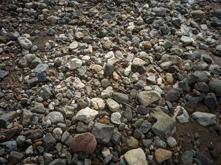 a spread of small to medium-sized rocks with various shapes, colors, and textures. The stones lie on a dry, rugged soil surface, creating a natural and rough aesthetic.