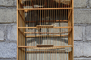 a bird cage made of bamboo with a gray building wall in the background