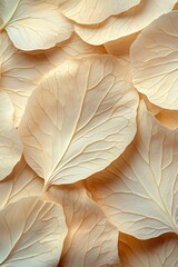 an abstract arrangement of beige flower petals and leaves, this piece emphasizes natural textures, creating a neutral backdrop or wallpaper with macro elements.