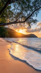 Golden sunset over a tranquil beach with gentle waves and lush greenery.