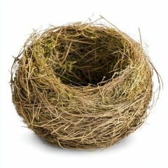Obraz premium a handcrafted bird's nest made from intertwined twigs and lined with soft moss, exuding natural elegance and rustic charm.