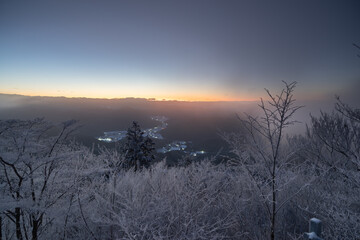 朝陽と美しい霧氷の森