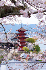 春爛漫、厳島の風景、桜と五重の塔