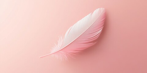 Naklejka premium Delicate Pink Feather on a Soft Background