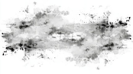 Fototapeta premium Abstract Black and White Ink Wash Painting Texture