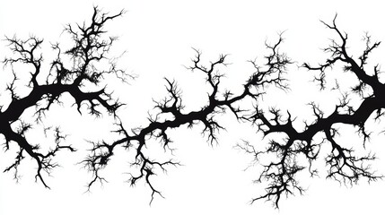 Abstract Black Branches Silhouette Graphic Design