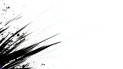 Abstract Black Ink Splashes and Lines on White