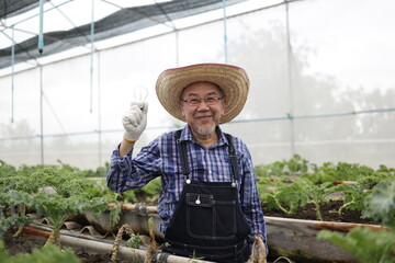 Obraz premium Portrait of an Asian older senior male gardener standing and smiling in his greenhouse vegetable farm with pleasure and cheerful
