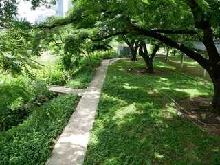 Fototapeta premium Bicycle road, road in Thailand