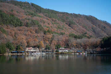 Obraz premium 紅葉に包まれた湖畔のキャンプ場