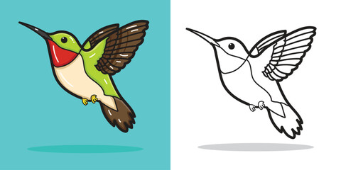 A cute Humingbird cartoon illustration for design element or coloring book element 