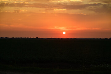 sunset over the field