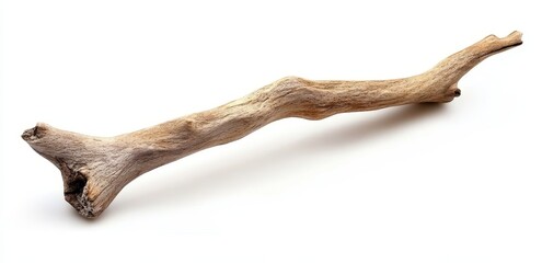 Single, curved, light brown driftwood branch isolated on white.