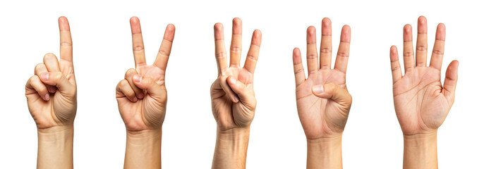 Isolated hands, showing numbers 1 to 5