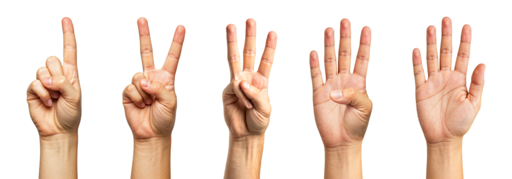 Isolated hands, showing numbers 1 to 5 - Powered by Adobe