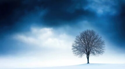 A solitary tree stands against a dramatic winter sky.