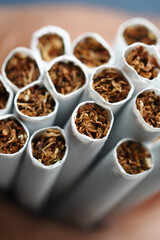 A CloseUp View of Cigarettes Showcasing the Tobacco Inside and Exposed