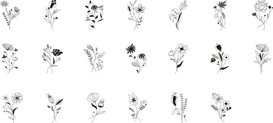 Meadow Botanical Set