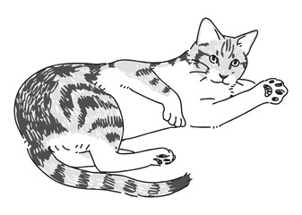 遊んでいるネコの手描きイラスト