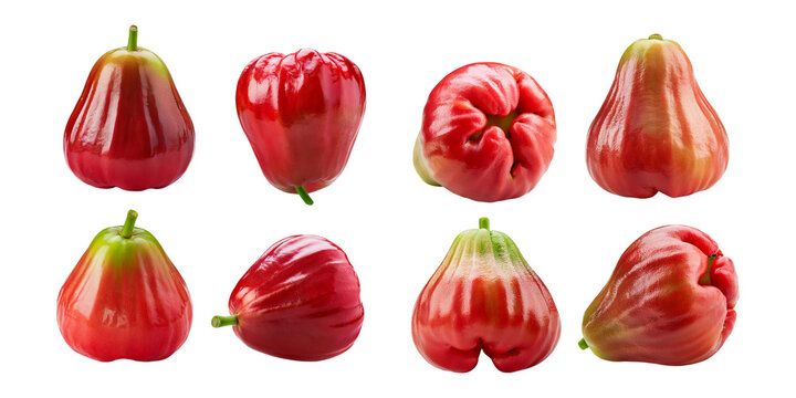 A variety of red wax apples displayed against a black background, highlighting their vibrant colors and unique shapes. Ideal for showcasing exotic fruits and food-related content.