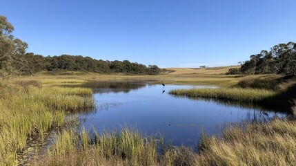 open marsh with clear blue skies above, the water reflecting the surrounding vegetation, and a lone heron standing in the distance
