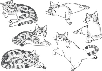 眠っているネコの手描きイラストセット