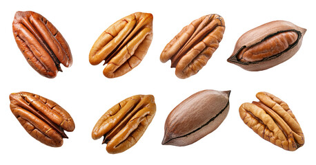 Obraz premium Pecan nuts in different positions isolated on transparent background