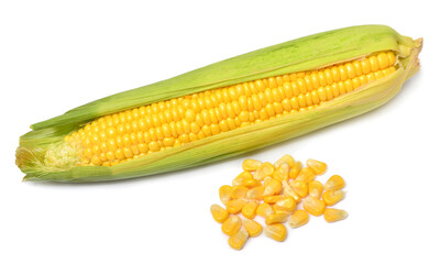 Fresh corn cob isolated on white background